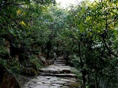 -北京鹫峰国家森林公园