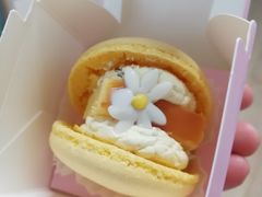 -好利来(盘锦万达店)