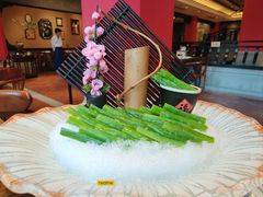 -龙悦湾酒家·八阵鱼生·渔人码头店