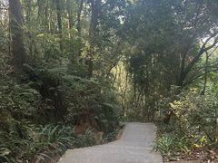 -广州市帽峰山景区