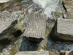 -广州白江湖森林公园