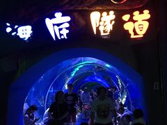 -临沂极地海洋王国