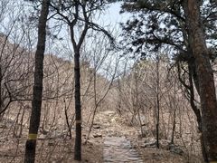 -北京西山国家森林公园