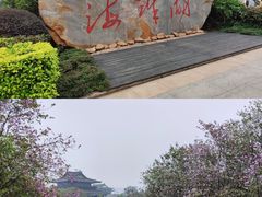 -海珠湖公园