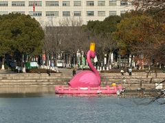 -青枫公园