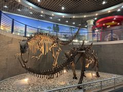 -国家自然博物馆