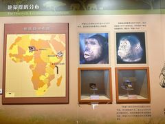 -国家自然博物馆