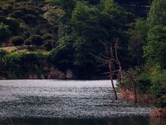 -溪口-滕头旅游景区