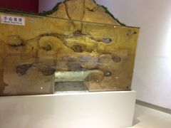 -上海昆虫博物馆