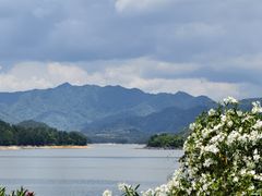 -宝荣鱼馆·临湖之宴(千岛湖店)
