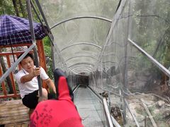 -佛爷洞旅游景区