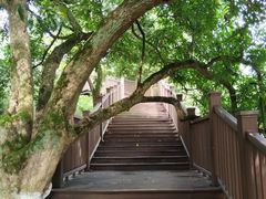 -张坝桂圆林公园