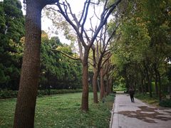 -宋庆龄陵园