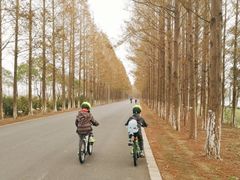 -长兴对江渡客运站