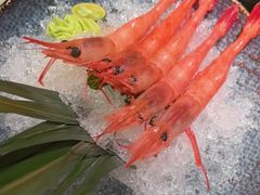 -沼津港精致料理·寿喜烧·烧鸟(龙湖南桥天街日料榜单店)