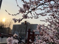 -长春市南湖公园