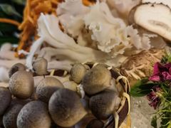-澳美徕·港式花胶鸡火锅(高新万达店)