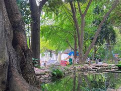-成都市活水公园