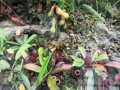 -国家植物园南园