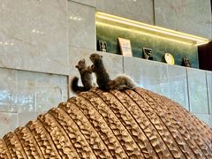 -长春凯悦酒店-品悦中餐厅