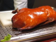 -大秦小宴•新派西北(万象前海店)