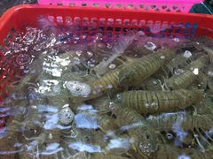 -清水湾3号(东方小周海鲜店)