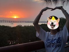 -宝安西湾红树林湿地公园