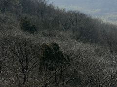 -句容茅山景区