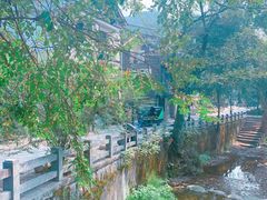 -欣怡茶庄·始于1999(梅家坞店)