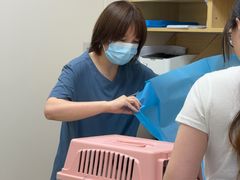 -芭比堂动物医院·CT·微创中心(新顺分院)