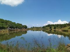 -永泰中国云顶
