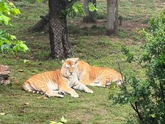 -西霞口神雕山野生动物世界