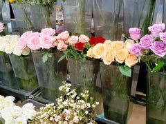 -ChaKo Flora ·茶子花艺 (市北店)