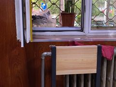 -正宗兰州王师傅麻辣牛肉面(学院新城店)