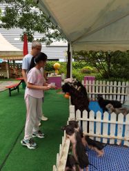 -萌宠亲子动物乐园(槐房万达店)