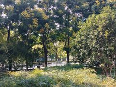 -后襄河公园