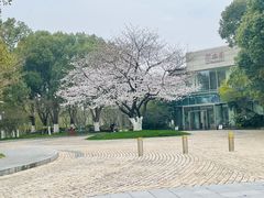 -阳澄湖费尔蒙酒店