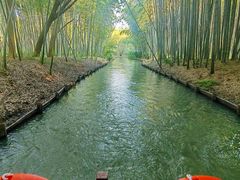 -同里国家湿地公园