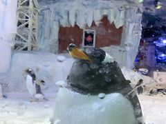 -芜湖新华联大白鲸海洋公园