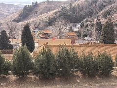 -遵化市禅林寺古银杏风景园