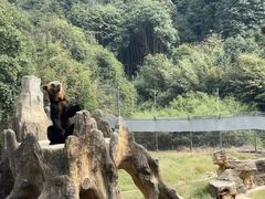 -杭州野生动物世界