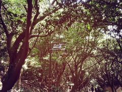 -普陀山慧济禅寺