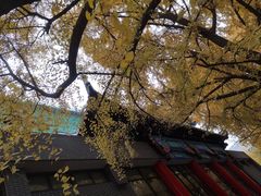 -四川大学(华西校区)