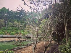 -广州市帽峰山景区