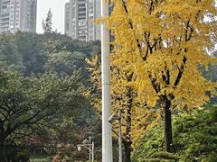 -龙头寺公园