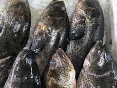 -芦潮港集贸市场