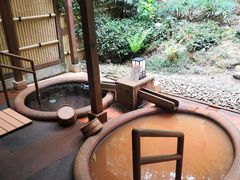 -有马温泉 竹取亭円山温泉旅馆