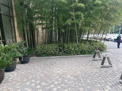-常州环球恐龙城维景国际大酒店
