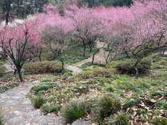 -团城山公园