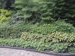 -川西坝子火锅(金沙1.0直营店)